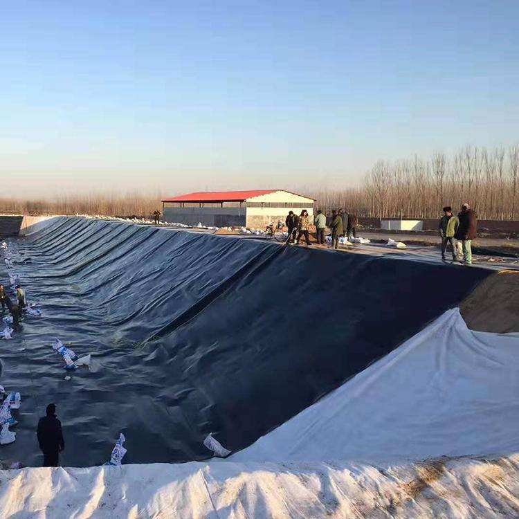hdpe smooth geomembrane