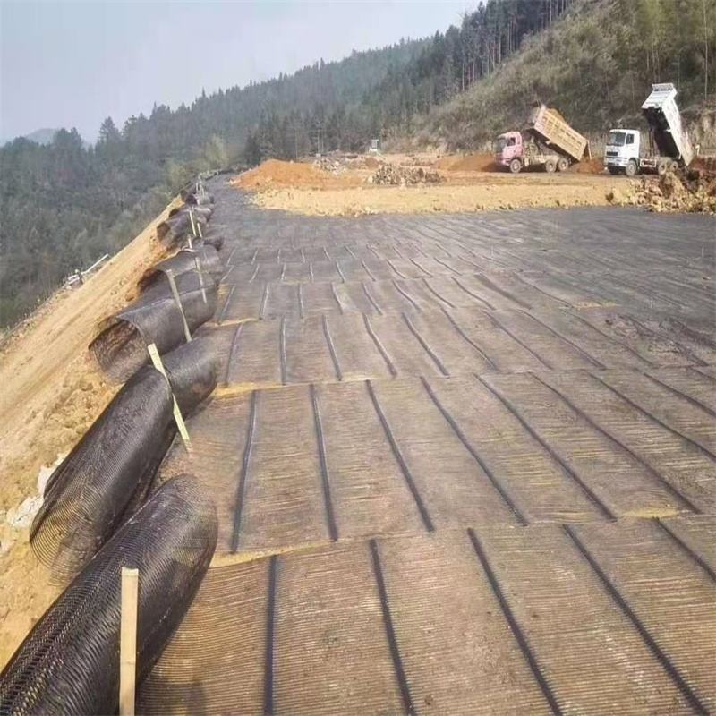 biaxial geogrid.jpg biaxial geogrid.jpg