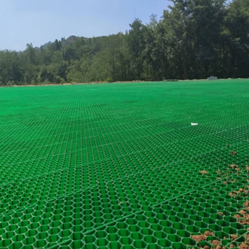 grass pavers driveway.jpg